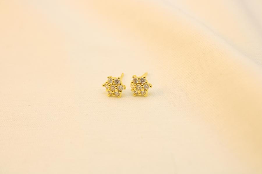 Arete Tipo Flor Roseta