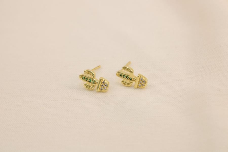 Arete cactus