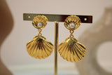 Arete forma de concha