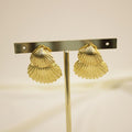 Arete concha