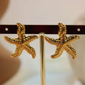 Arete acero estrella pequeña