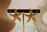 Arete acero estrella pequeña