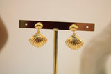 Arete concha doble