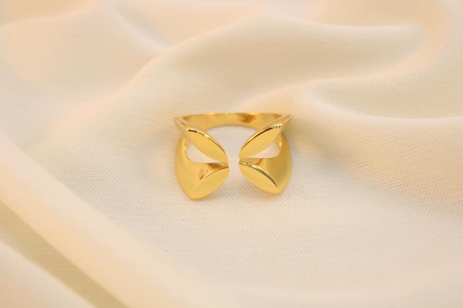 Anillo Abierto