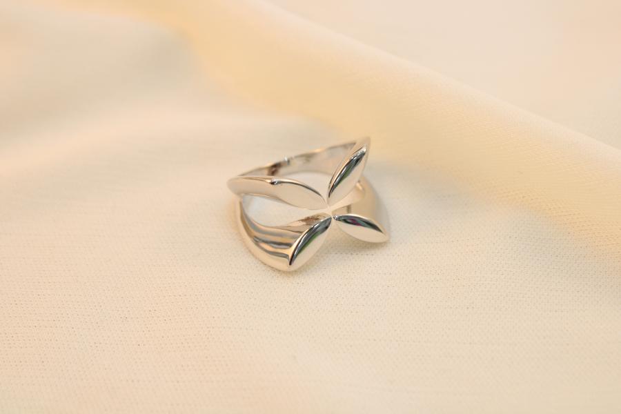 Anillo Abierto