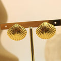 Arete De Acero Concha