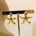 Arete De Acero Estrella De Mar