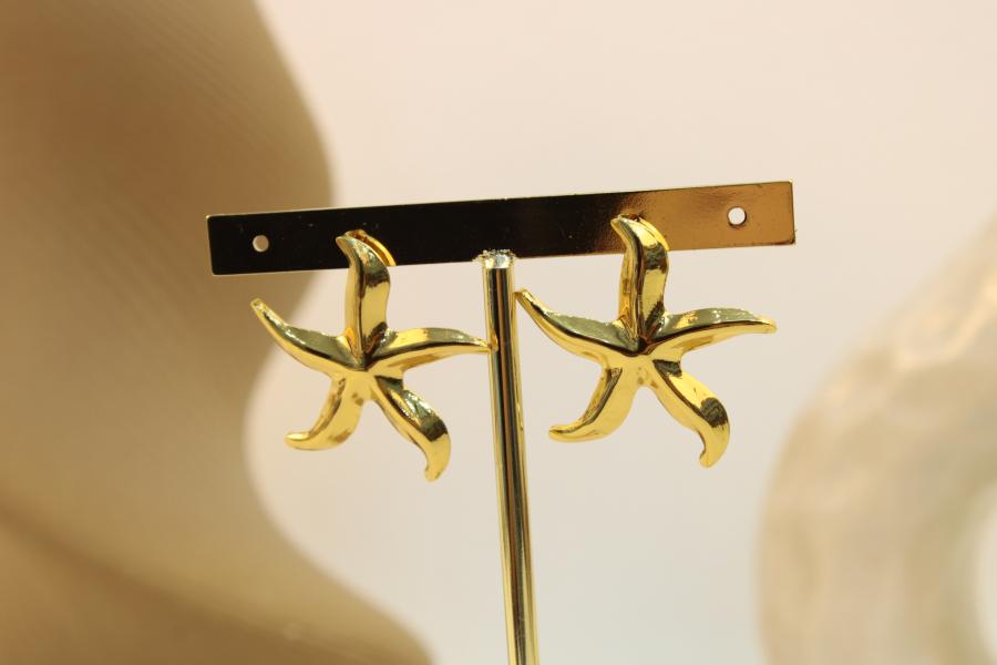 Arete De Acero Estrella De Mar