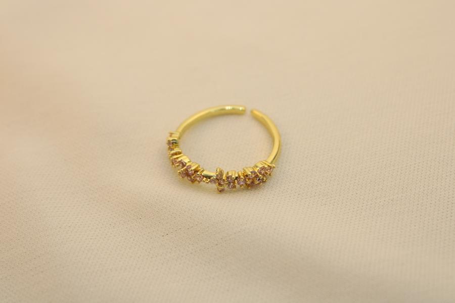 Anillo De Flores Rosadas