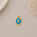 Charm / Dije De Placa celeste