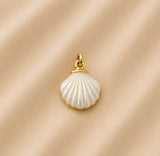 Charm / Dije De Almeja Blanca