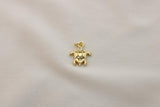 Charm / Dije De Tortuga