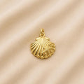 Charm / Dije De Concha Con Relieve De Estrella