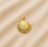 Charm / Dije De Concha Con Relieve De Estrella