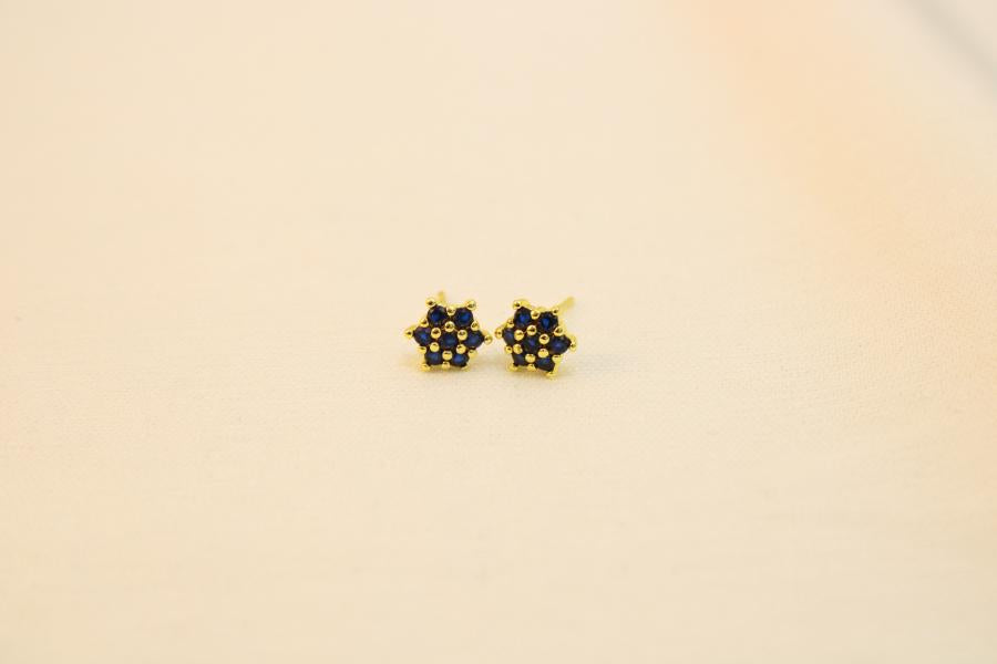 Arete Tipo Flor Roseta