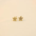 Arete De Estrella