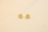 Arete De Copo De Nieve