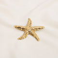 Broches/Prendedores De Estrella Acero