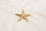 Broches/Prendedores De Estrella Acero