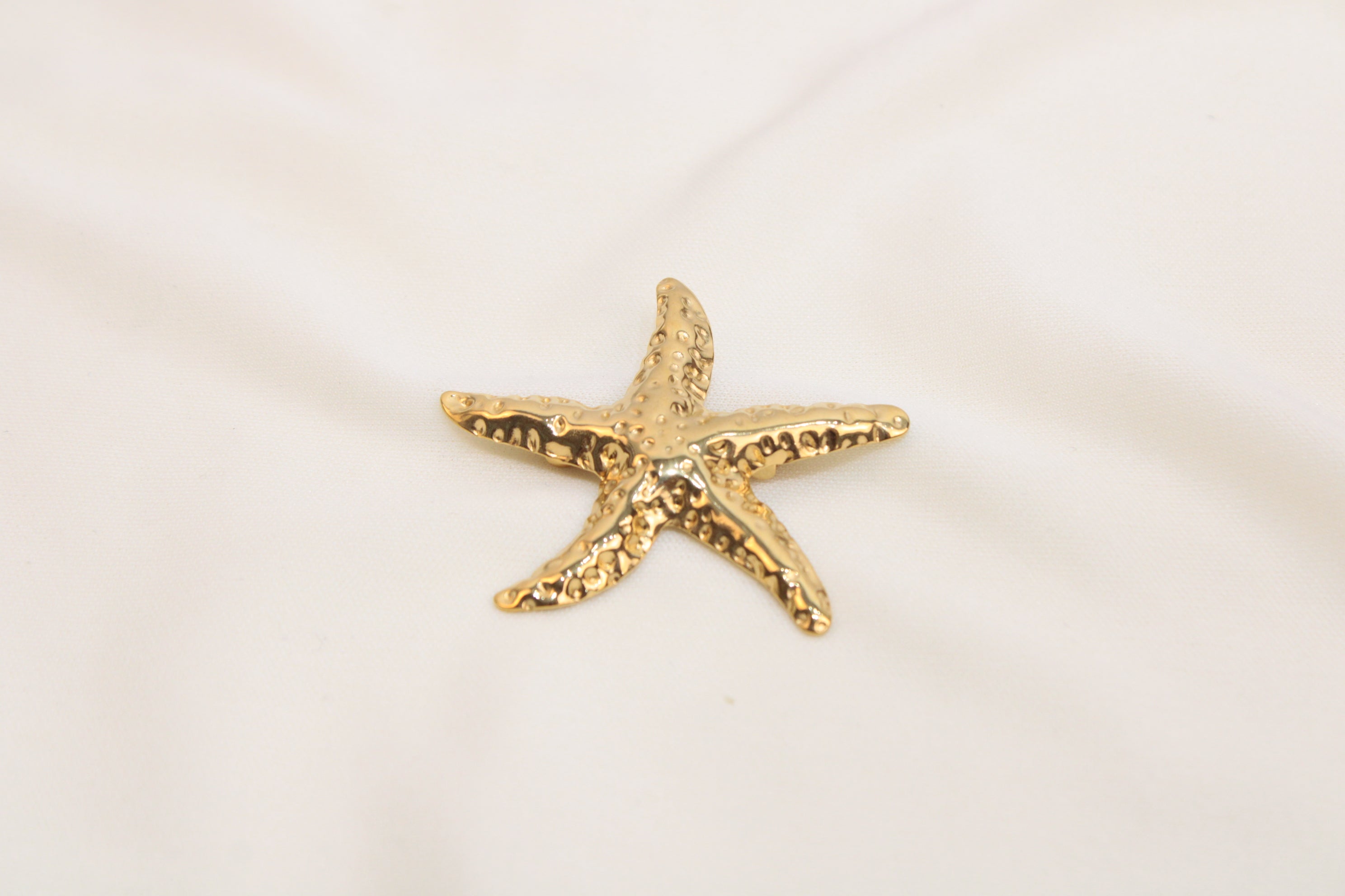 Broches/Prendedores De Estrella Acero