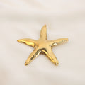 Broches/Prendedores De Estrella Acero