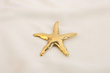 Broches/Prendedores De Estrella Acero