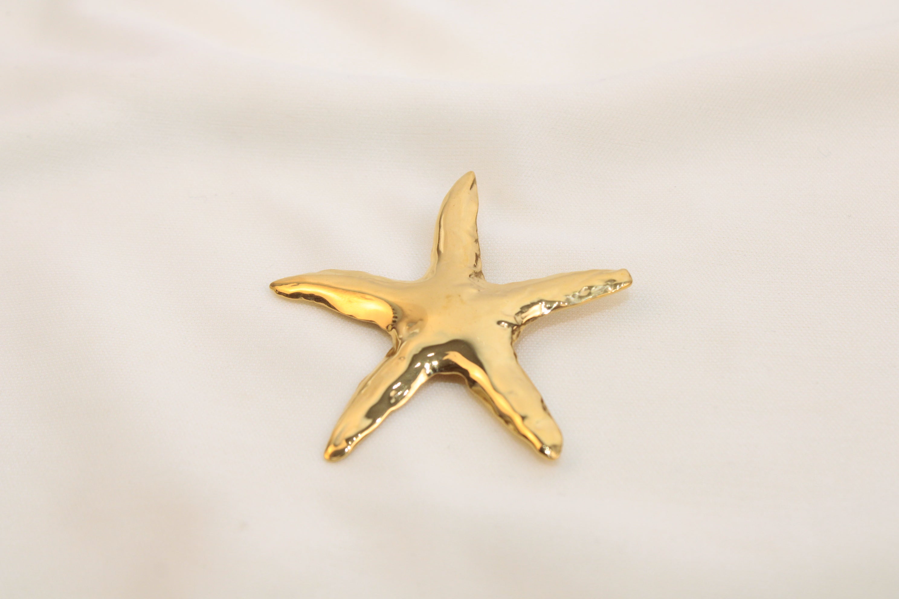 Broches/Prendedores De Estrella Acero