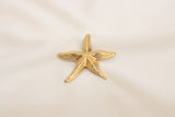 Broches/Prendedores De Estrella Acero
