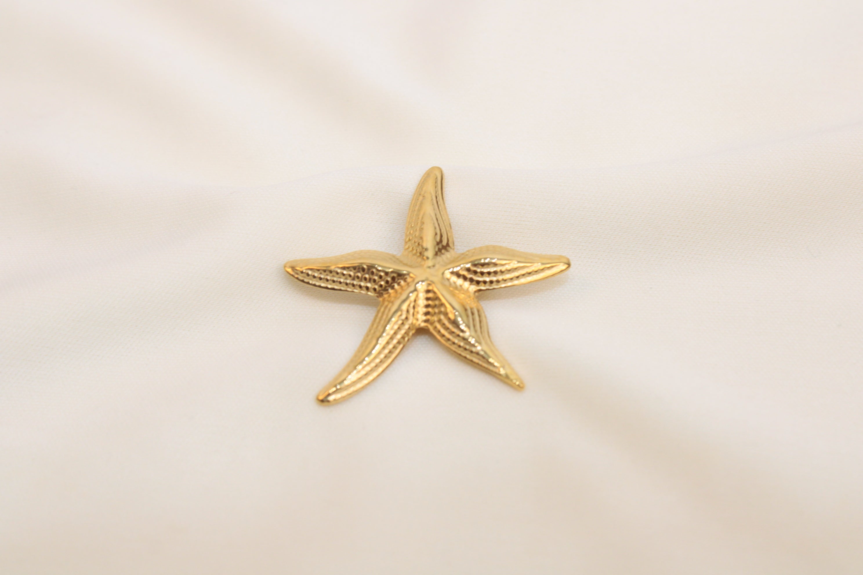 Broches/Prendedores De Estrella Acero