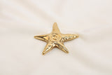 Broches/Prendedores De Estrella Con Espiral  Acero