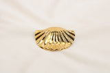 Broches/Prendedores De Concha  Acero