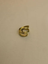 Anillo Entrelazado