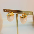 Arete argolla