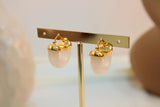 Arete argolla