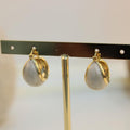 Arete argolla