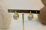 Arete argolla