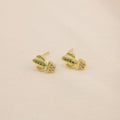 Arete cactus